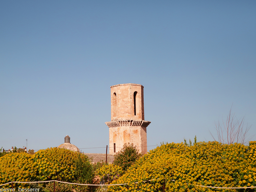 Saint-Laurent – Marseille