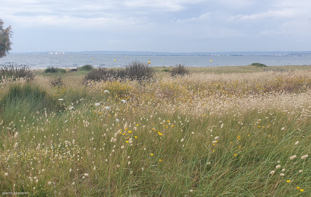 Le lac de Tiberiade